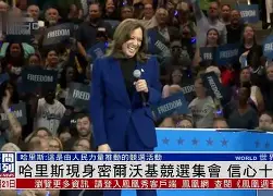 哈哈体育官网首页登录-密尔沃基艺术博物馆